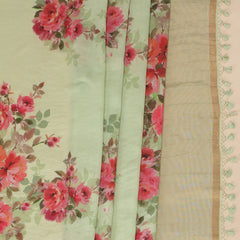 Pure Banarasi Chiniya Silk Saree - Pista Green