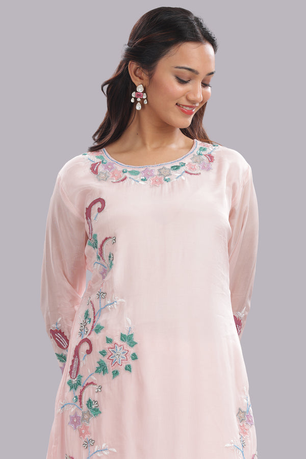 Designer Applique Hand Embroidered Suit