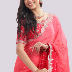 Designer Hand Embroidered Chiffon Saree and Blouse